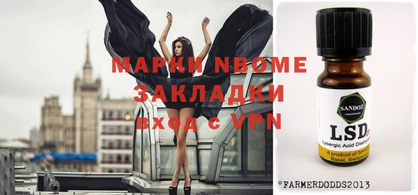 шишки Белокуриха