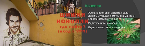 шишки Белокуриха