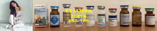 шишки Белокуриха