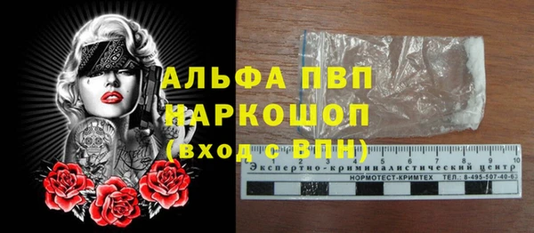 шишки Белокуриха