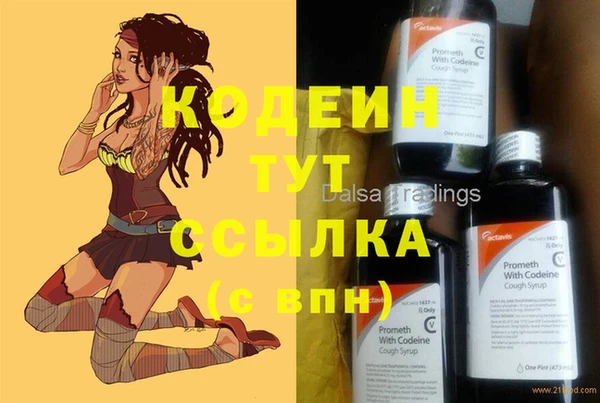шишки Белокуриха