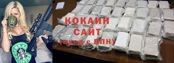 шишки Белокуриха