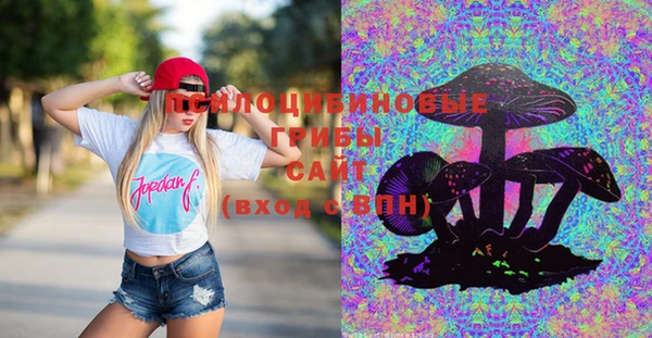 шишки Белокуриха