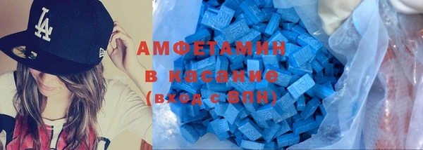 шишки Белокуриха