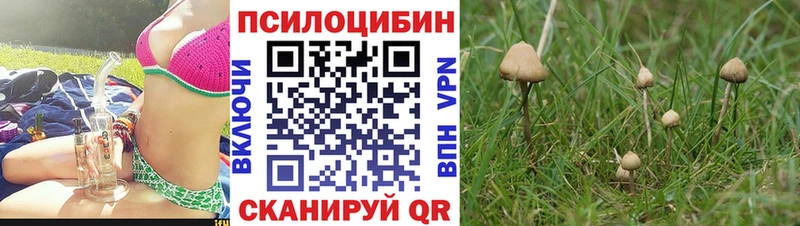 Галлюциногенные грибы Magic Shrooms  omg ссылки  Волжск 