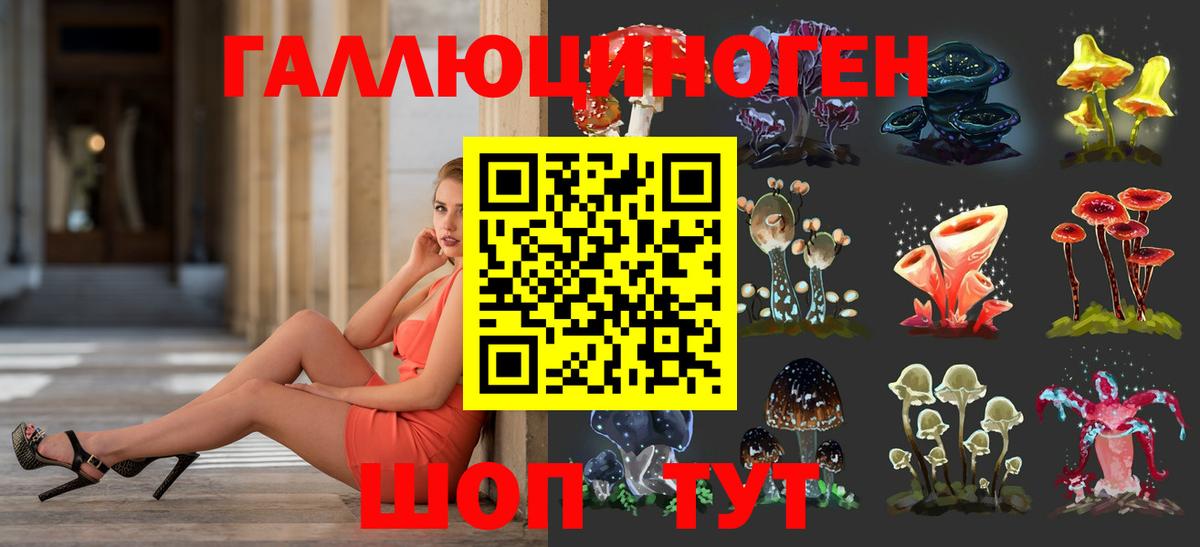 Галлюциногенные грибы Cubensis Волжск
